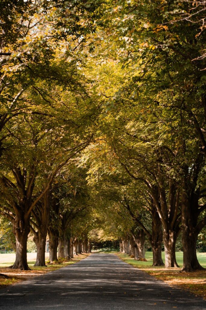 Campus Campus