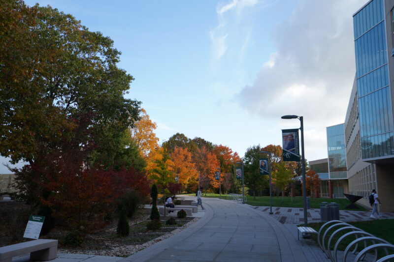 SUNY Old Westbury in the fall